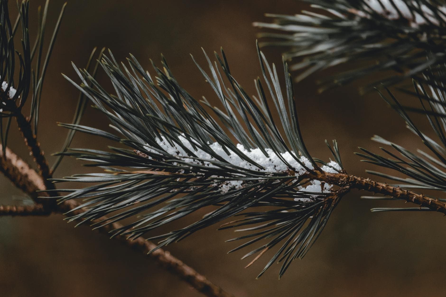 Complete Guide to Cold Exposure Benefits for Recovery