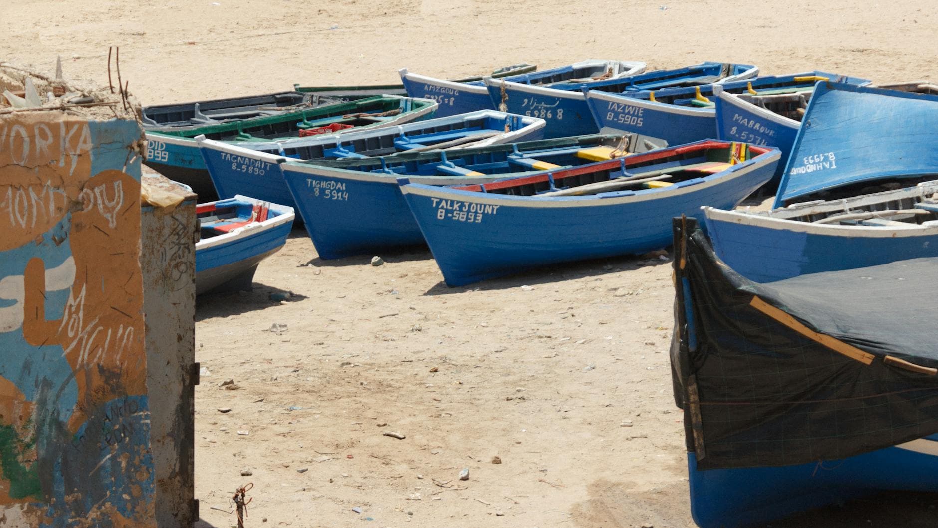 Pexels Photo 34936138