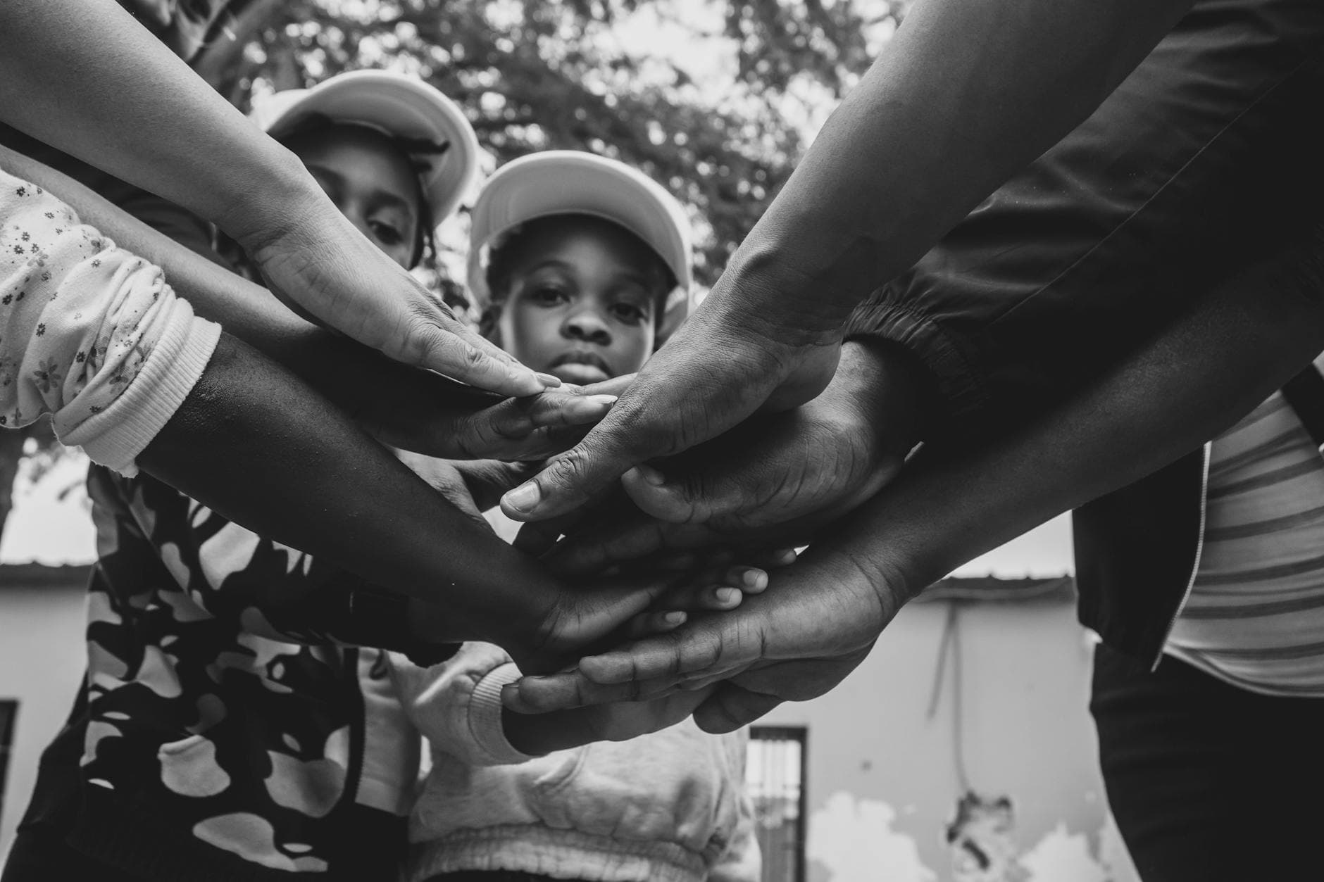 Pexels Photo 34984576