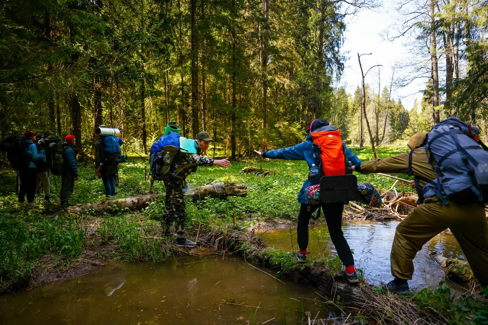 Pexels Photo 34988609