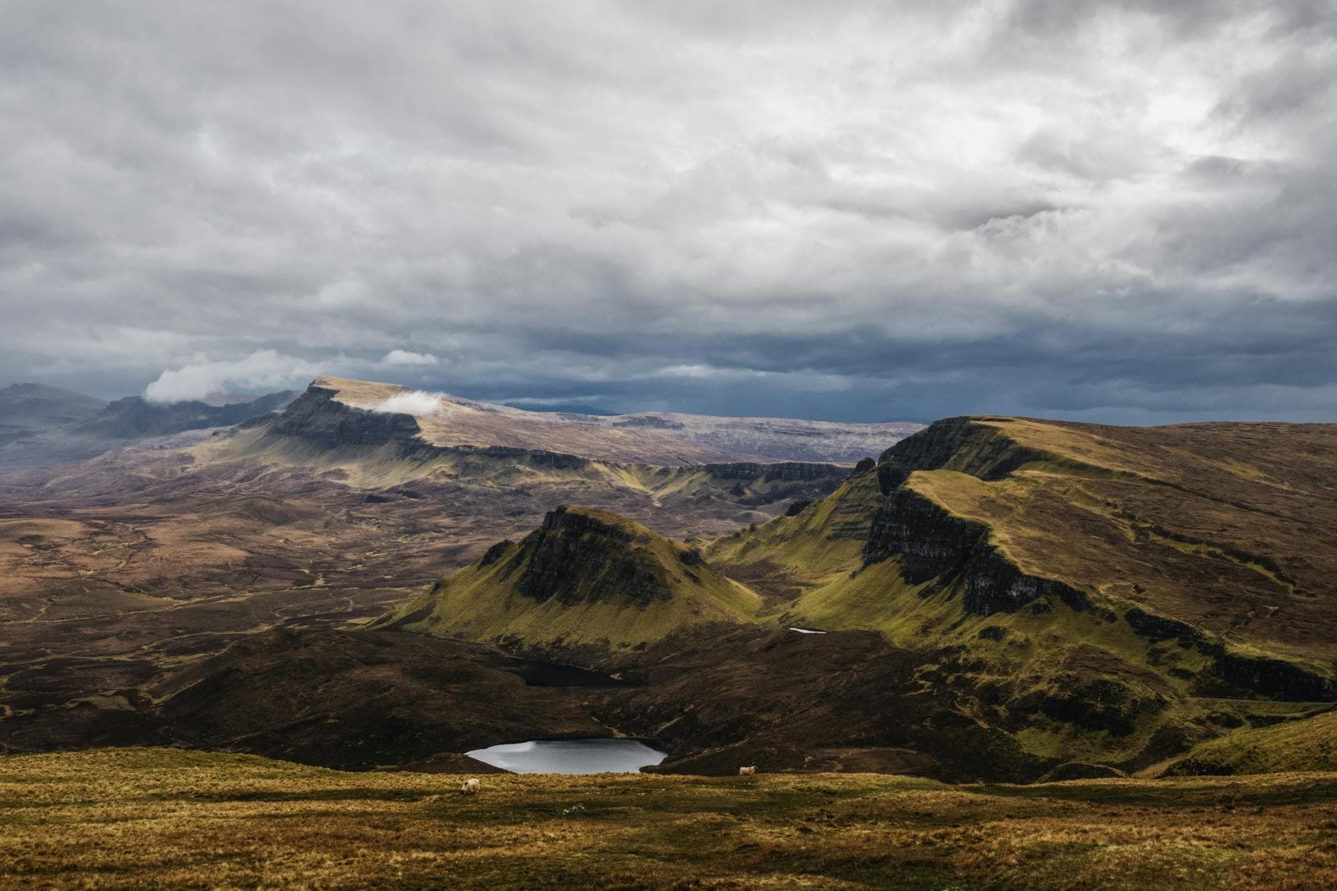 Pexels Photo 34975347