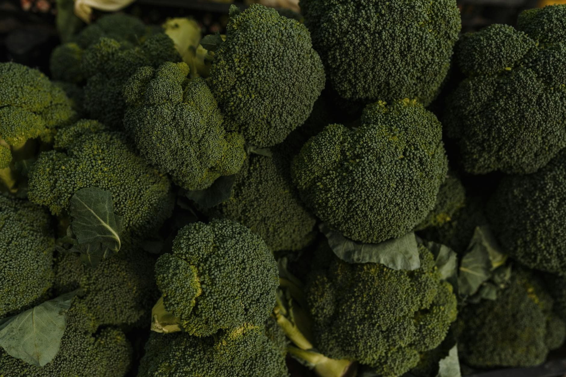 Complete Anti-Inflammatory Foods Guide for Recovery