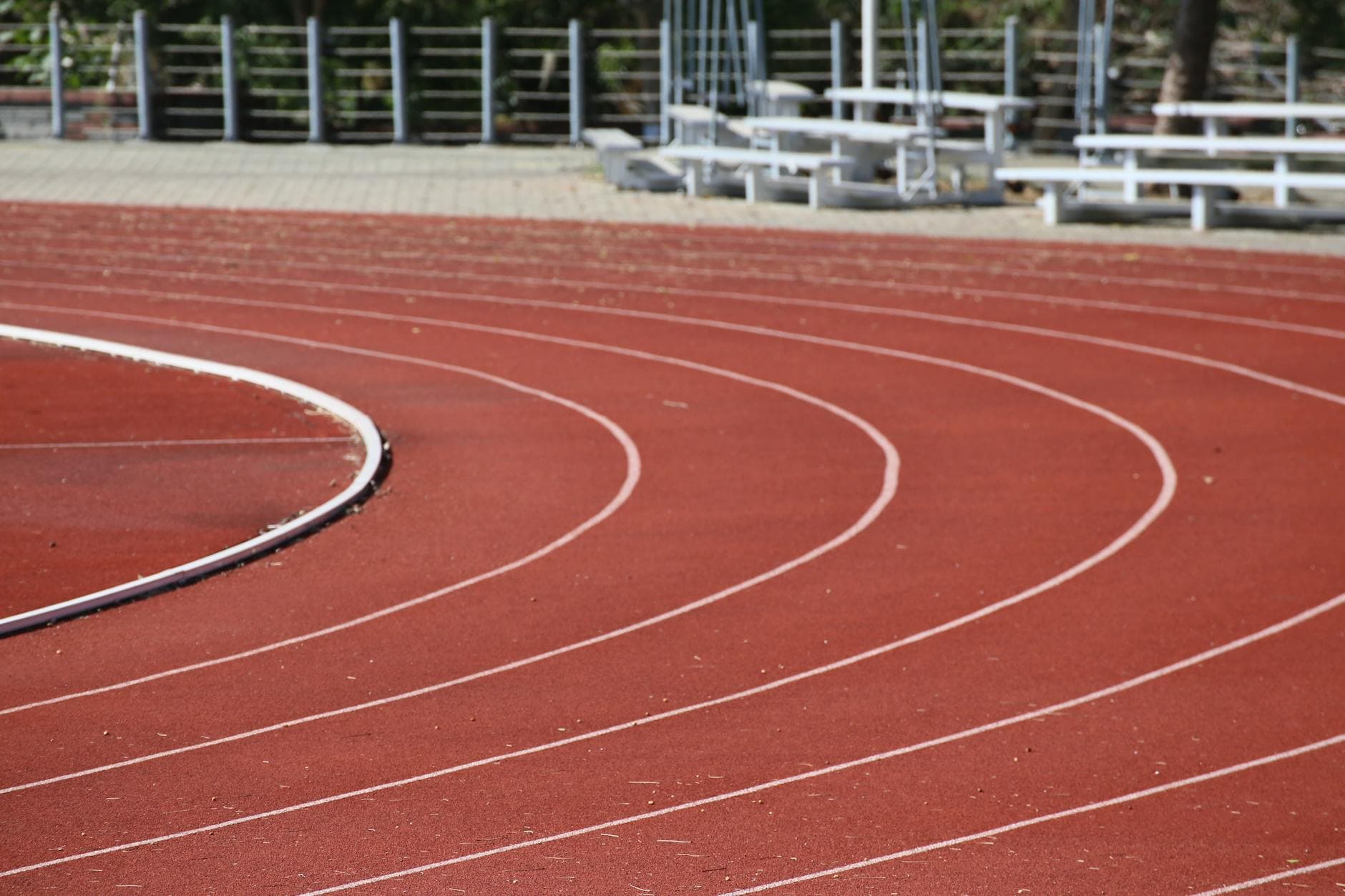 Pexels Photo 34985567