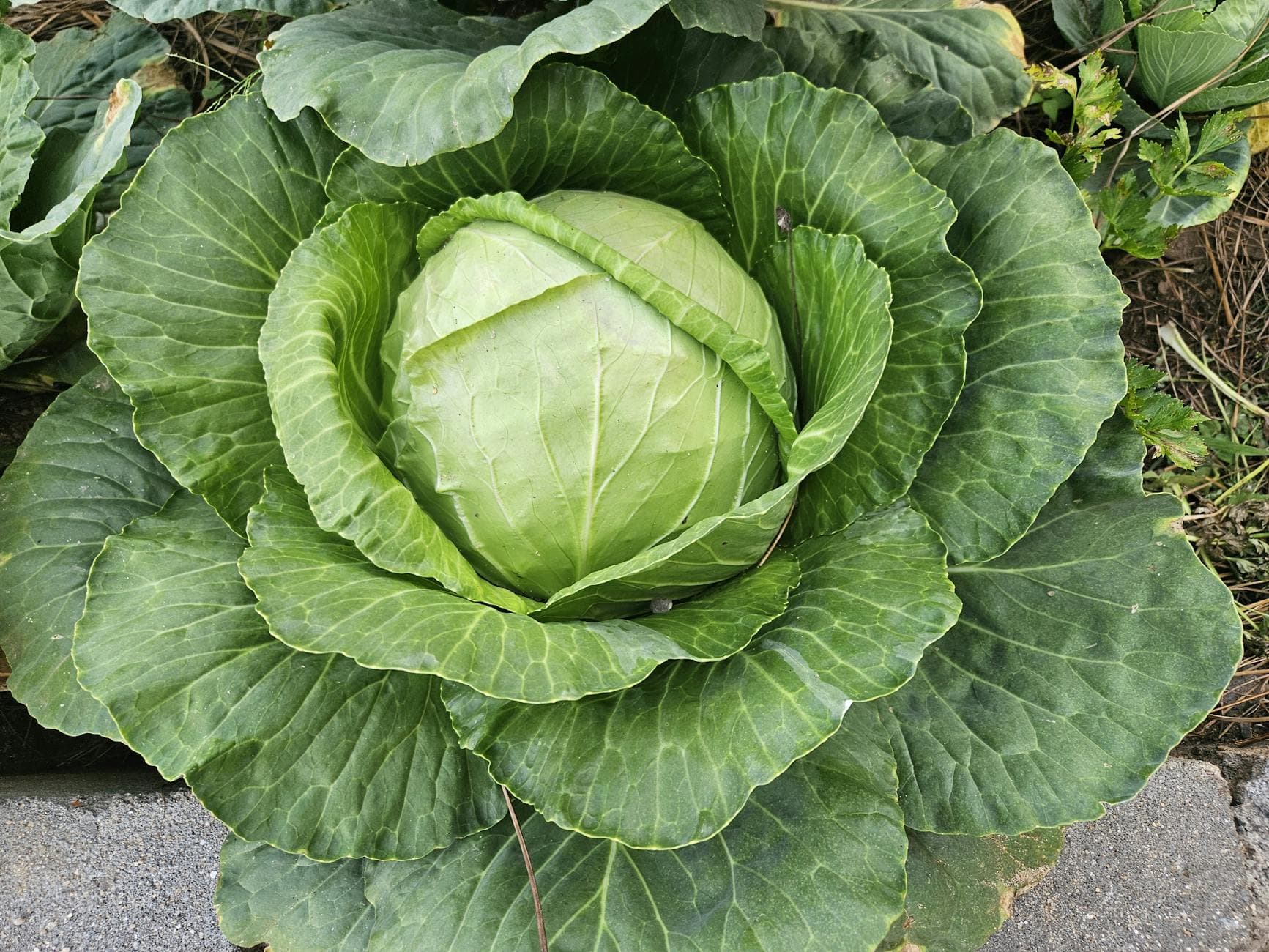Complete Guide to Nutrition Myths That Hurt Progress